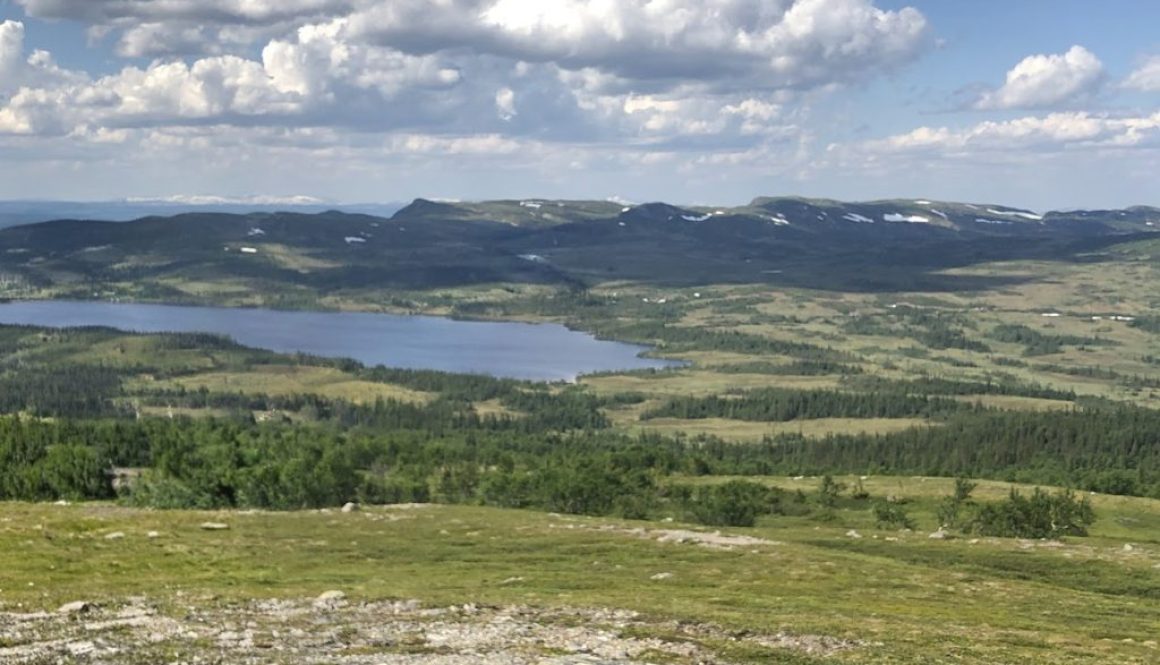 fjallmara
