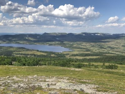 fjallmara